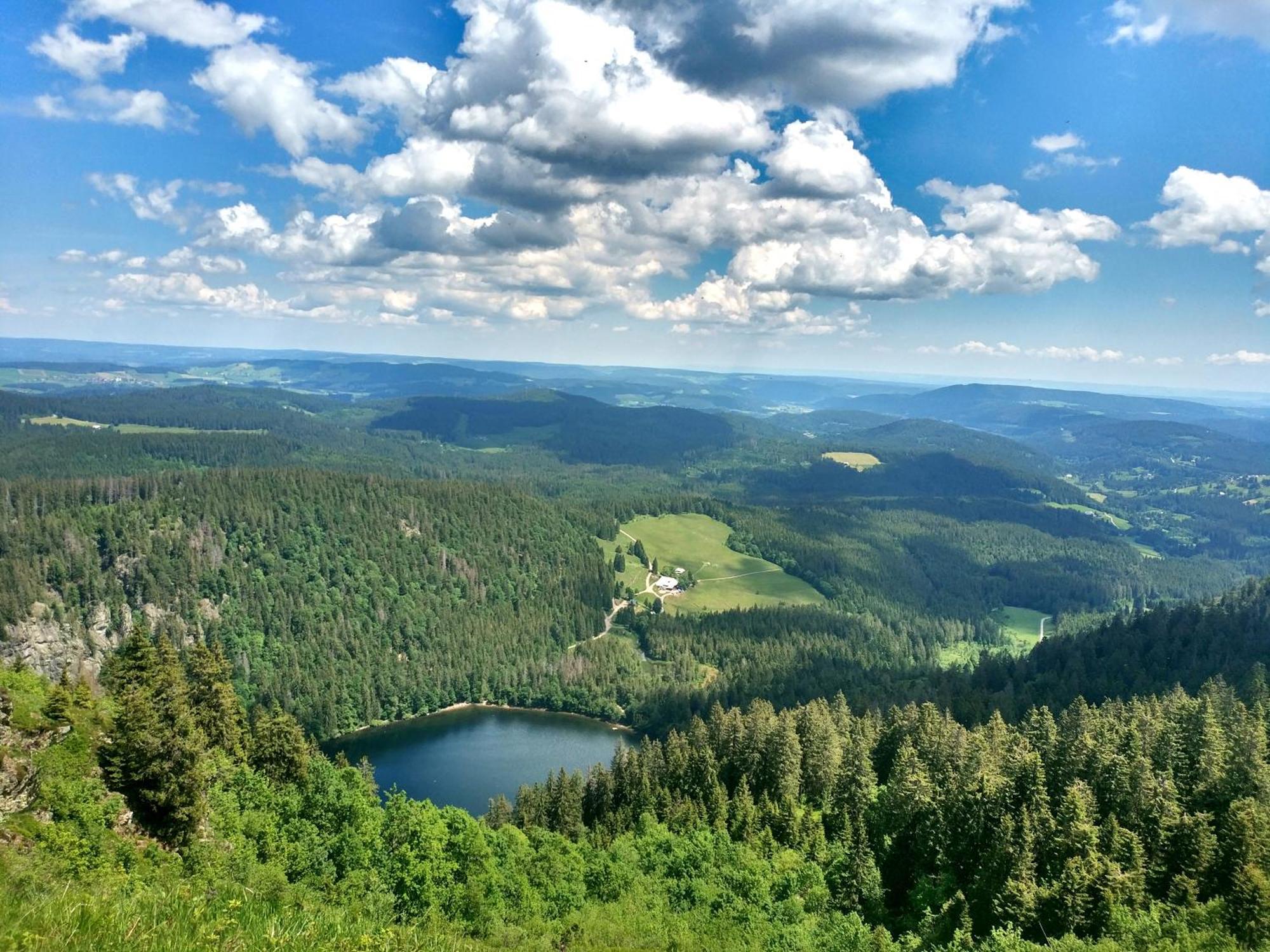 Ferienwohnung Seeblick Nr 2 5-Zimmerwohnung - Feldberg Bärental Rotwasser Exterior foto