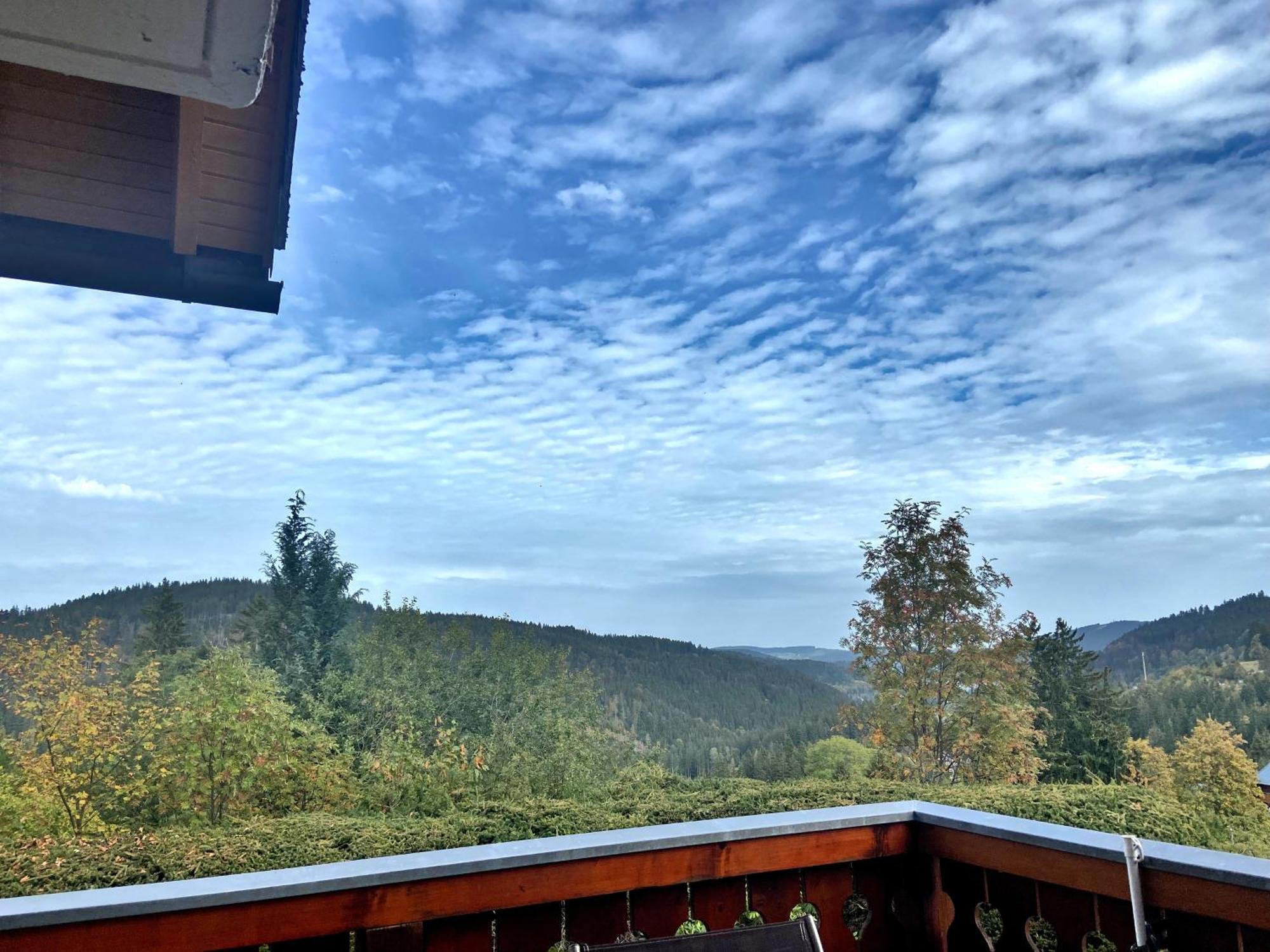 Ferienwohnung Seeblick Nr 2 5-Zimmerwohnung - Feldberg Bärental Rotwasser Exterior foto
